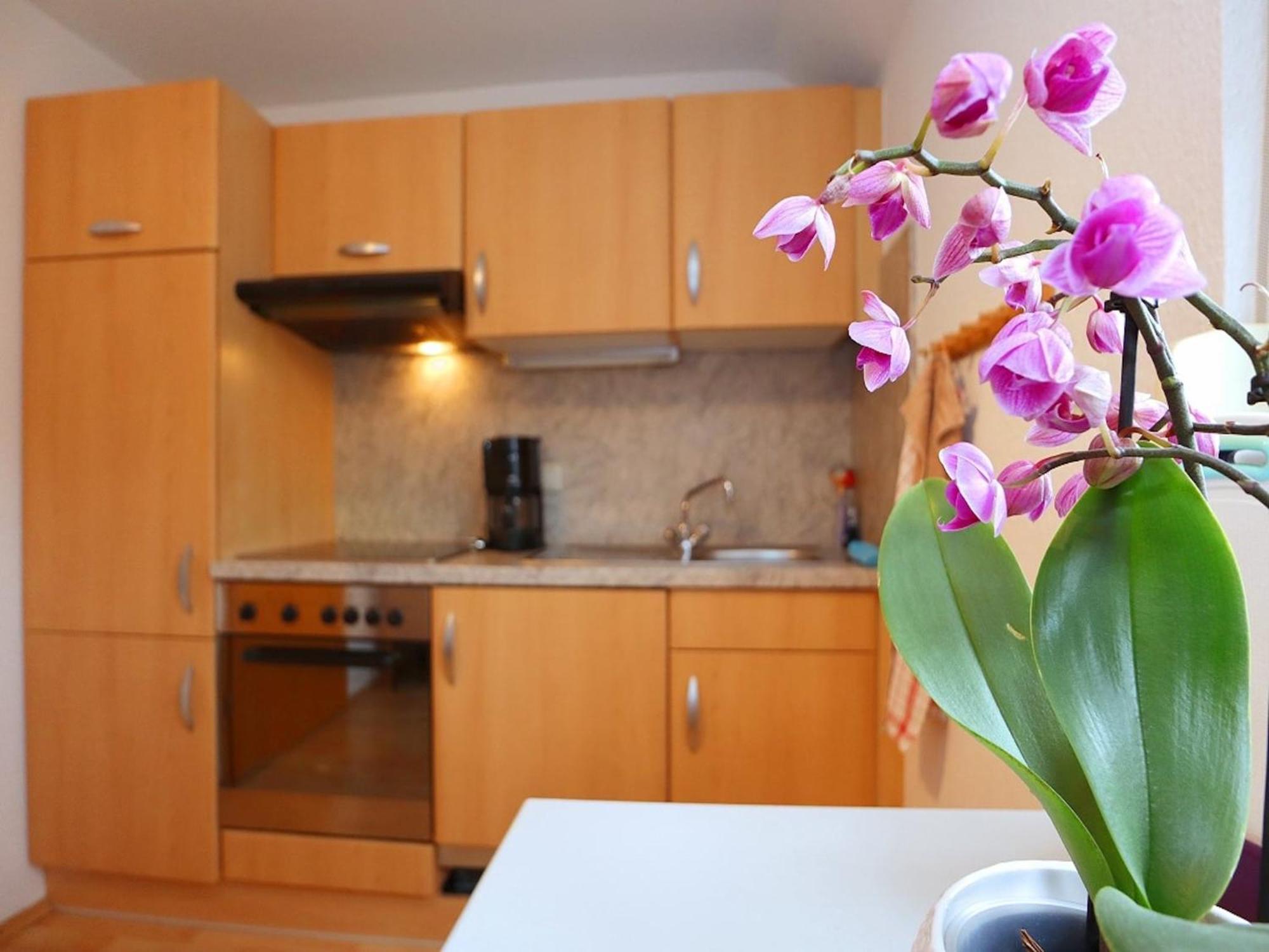 Cozy Apartment In Schwenningen With Garden Villingen-Schwenningen Ngoại thất bức ảnh